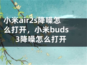 小米air2s降噪怎么打开，小米buds3降噪怎么打开