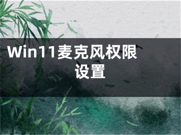 Win11麦克风权限设置