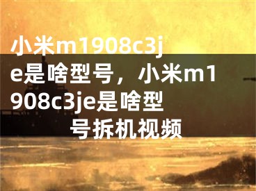 小米m1908c3je是啥型号，小米m1908c3je是啥型号拆机视频