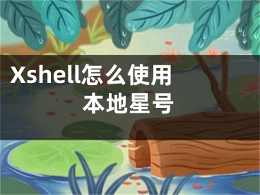 Xshell怎么使用本地星号