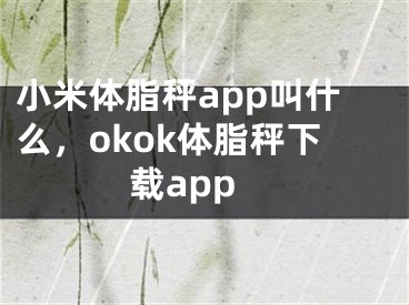 小米体脂秤app叫什么，okok体脂秤下载app