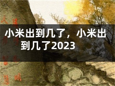 小米出到几了，小米出到几了2023