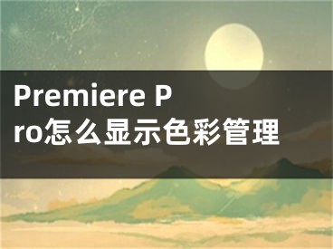 Premiere Pro怎么显示色彩管理