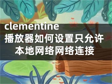 clementine播放器如何设置只允许本地网络网络连接