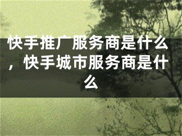 快手推广服务商是什么，快手城市服务商是什么