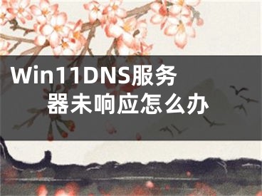 Win11DNS服务器未响应怎么办