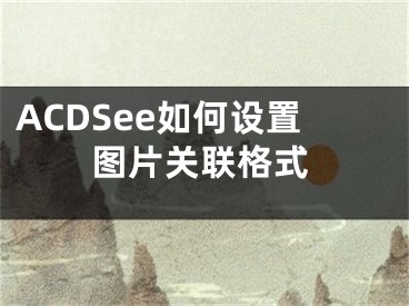 ACDSee如何设置图片关联格式