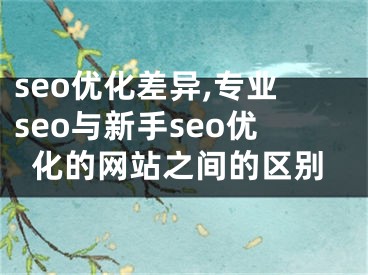 seo优化差异,专业seo与新手seo优化的网站之间的区别 