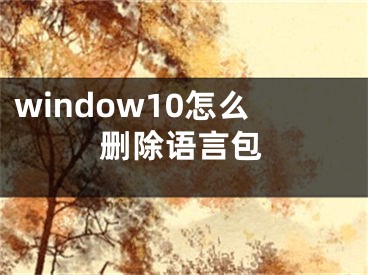 window10怎么删除语言包