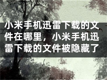 小米手机迅雷下载的文件在哪里，小米手机迅雷下载的文件被隐藏了