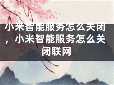 小米智能服务怎么关闭，小米智能服务怎么关闭联网