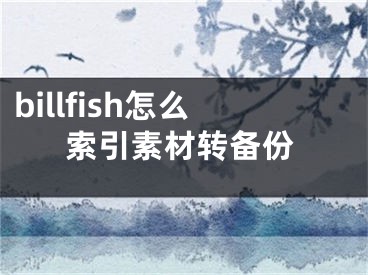 billfish怎么索引素材转备份