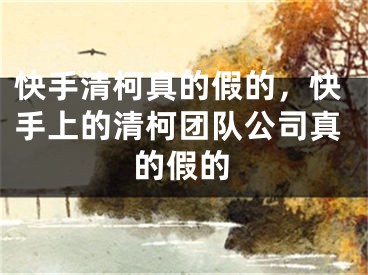 快手清柯真的假的，快手上的清柯团队公司真的假的