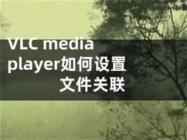 VLC media player如何设置文件关联