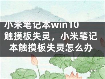 小米笔记本win10触摸板失灵，小米笔记本触摸板失灵怎么办