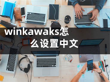 winkawaks怎么设置中文