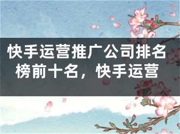 快手运营推广公司排名榜前十名，快手运营