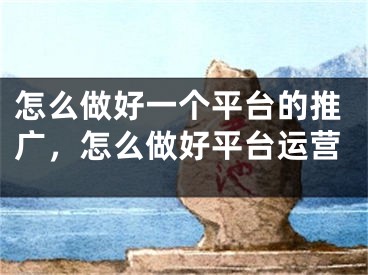 怎么做好一个平台的推广，怎么做好平台运营 