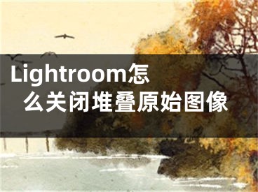 Lightroom怎么关闭堆叠原始图像