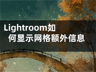 Lightroom如何显示网格额外信息