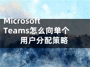 Microsoft Teams怎么向单个用户分配策略