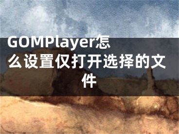 GOMPlayer怎么设置仅打开选择的文件