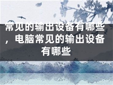 常见的输出设备有哪些，电脑常见的输出设备有哪些