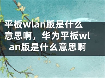 平板wlan版是什么意思啊，华为平板wlan版是什么意思啊
