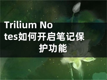Trilium Notes如何开启笔记保护功能