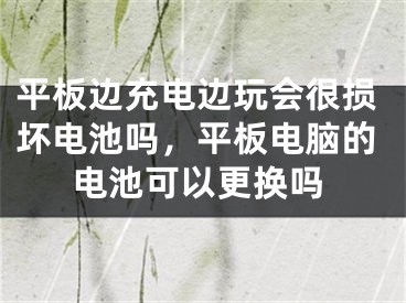 平板边充电边玩会很损坏电池吗，平板电脑的电池可以更换吗