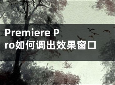 Premiere Pro如何调出效果窗口