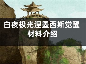 白夜极光涅墨西斯觉醒材料介绍 