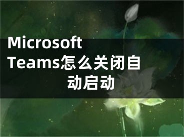 Microsoft Teams怎么关闭自动启动