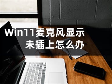 Win11麦克风显示未插上怎么办