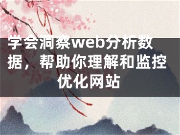 学会洞察web分析数据，帮助你理解和监控优化网站 