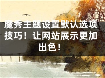 魔秀主题设置默认选项技巧！让网站展示更加出色！