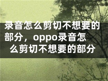 录音怎么剪切不想要的部分，oppo录音怎么剪切不想要的部分