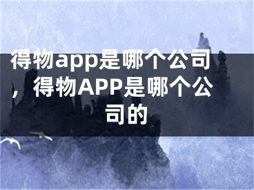 得物app是哪个公司，得物APP是哪个公司的