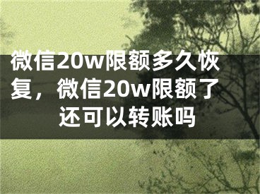 微信20w限额多久恢复，微信20w限额了还可以转账吗