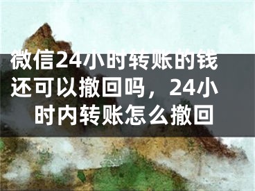 微信24小时转账的钱还可以撤回吗，24小时内转账怎么撤回