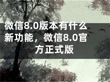 微信8.0版本有什么新功能，微信8.0官方正式版