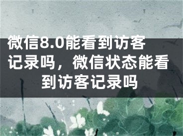 微信8.0能看到访客记录吗，微信状态能看到访客记录吗