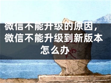 微信不能升级的原因，微信不能升级到新版本怎么办