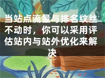 当站点流量与排名纹丝不动时，你可以采用评估站内与站外优化来解决