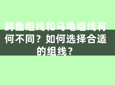 鳄鱼组线和乌龟组线有何不同？如何选择合适的组线？