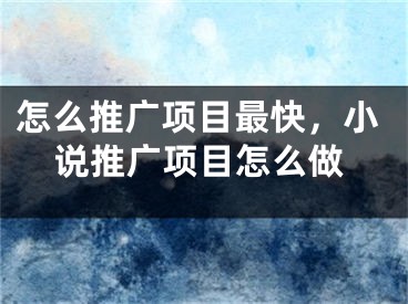 怎么推广项目最快，小说推广项目怎么做