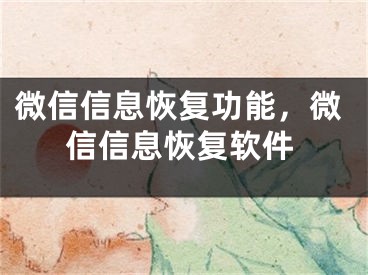 微信信息恢复功能，微信信息恢复软件