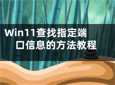 Win11查找指定端口信息的方法教程