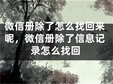 微信册除了怎么找回来呢，微信册除了信息记录怎么找回