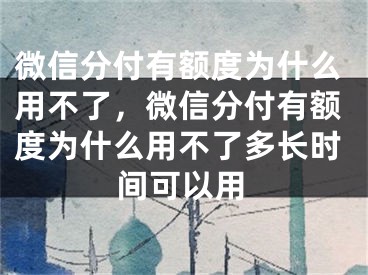 微信分付有额度为什么用不了，微信分付有额度为什么用不了多长时间可以用